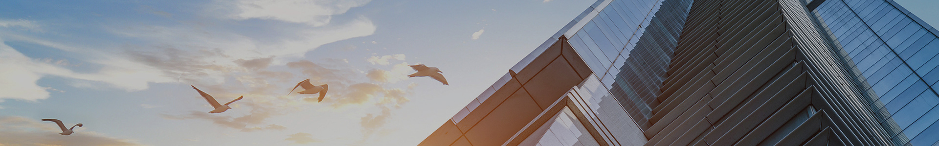 sunbet(中国区)官方网站